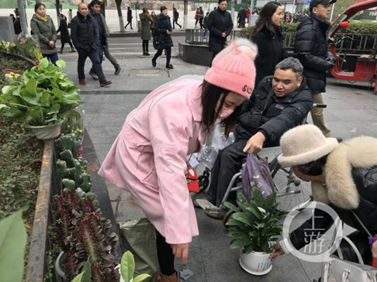 张锋为客人挑选花草